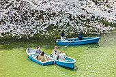 Friends with boats at Chidori-ga-fuchi enjoying cherry blossom in spring, Chiyoda-ku, Tokyo, Japan