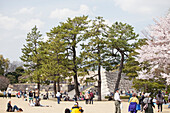 Tenshu-dai seen from the Honmaru Garden with trees and visitors in the foreground, Chiyoda-ku, Tokyo, Japan