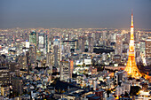 Tokyo Tower und Shimbashi von oben gesehen zur blauen Stunde, Minato-ku, Tokio, Japan