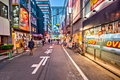 Fußgänger in einer Seitenstraße in Akihabara während der blauen Stunde, Chiyoda-ku, Tokio, Japan