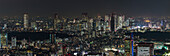 Shinjuku Skyline at night, Minato-ku, Tokyo, Japan