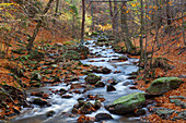 Stream, Forest, Autumn, Waterfall, Cascade, Use, Ilsetal, River, National Park, Harz