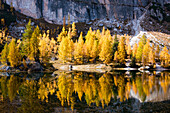 Mountain Lake, Reflection, Autumn, Autumn Foliage, Lago Federa, Dolomites, Italy