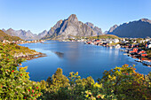 Port, Bay, Reine, Fjord, Moskenesoya, Lofoten, Norway, Europe