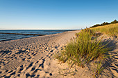 Summer, Beach, Dunes, Baltic Sea, Mecklenburg, Germany, Europe