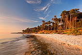 Sommer, Strand, Weststrand, Sonnenuntergang, Ostsee, Mecklenburg-Vorpommern, Deutschland, Europa