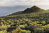 Montana de Lagi, Insel La Palma, Kanarische Inseln, Spanien