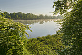 Donauauen, Lower Austria, Austria