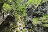 Waterhole cliff, Salzatal, Styria, Austria