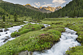 Debantbach, Debanttal, Nationalpark Hohe Tauern, Osttirol, Tirol, Österreich