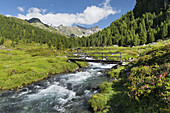 Bridge over the Debantbach, Debanttal, national park Hohe Tauern, East Tyrol, Tyrol, Austria