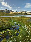 Lacs de Fenêtre, Grand Golliat, Wallis, Schweiz