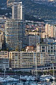 Panorama of La Condamine and Monte Carlo from the Prince's Palace of Monaco, Monaco-Ville, Monte Carlo, Monaco.