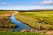 Flats Pill and Boundary Drain drainage ditches on Braunton Marsh, Braunton, Devon, England.