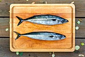 Fresh Spanish mackerel on a cutting board.