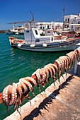 Fishing boats at the port with hanging octopus for dry in the foreground in Naoussa village, Paros, Cyclades Islands, Greek Islands, Greece, Europe.