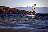 Junger Mann windsurft bei Sonnenuntergang, Ammersee, Bayern, Deutschland