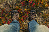 'Person's feet standing the autumn colours of the Icelandic tundra; Iceland'