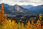 Alaska Railroad passenger train passes over the Riley Creek Bridge in autumn, Denali National Park, Interior Alaska, USA