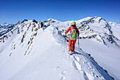 Woman backcountry skiing ascending on snow ridge towards Cima Marmotta, Cima Marmotta, valley Martelltal, Ortler range, Vinschgau, South Tyrol, Italy