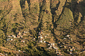 Kulturlandschaft, Terrassenfelder, Ferienhäuser, weiss, Palmen, oberes Valle Gran Rey, La Gomera, Felsklippen, Kanaren, Kanarische Inseln, Spanien