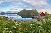 Flowers and grass frame the typical rorbu and peaks reflected in sea at night, Vengeren, Vagpollen, Lofoten Islands, Norway, Scandinavia, Europe