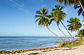 Savannah Beach, Bridgetown, Christ Church, Barbados, West Indies, Caribbean, Central America