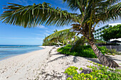 Hastings Beach, Christ Church, Barbados, West Indies, Caribbean, Central America