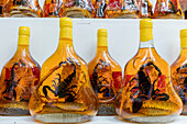 Scorpion and snake brandy for sale in Vietnam, Hanoi, Vietnam, Indochina, Southeast Asia, Asia