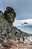 Penguins below dramatic rock formations, Half Moon Bay, South Sheltand islands, Antarctica