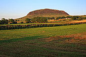 Slemish Mountain, County Antrim, Ulster, Northern Ireland, United Kingdom, Europe