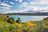 View over Sandy Bay from the Abel Tasman Coast Track, Abel Tasman National Park, near Marahau, Tasman, South Island, New Zealand, Pacific