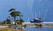 The Milford Mariner dwarfed by steep mountains, Milford Sound, Fiordland National Park, UNESCO World Heritage Site, Southland, South Island, New Zealand, Pacific