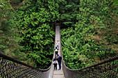 Suspension bridge, Lynn Canyon Park, Vancouver, British Columbia, Canada, North America