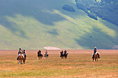 Europe, Italy, Umbria, Perugia district, Castelluccio of Norcia, Horse riding