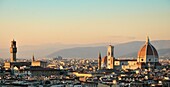 View of Florence from Piazzale Michelangelo, with Ponte Vecchio, Duomo and common, Florence, Italy