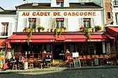 Caf+¿ in Place du Tertre, Montmartre, Paris, France