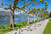 Tourists visiting the gardens of Villa Melzi d'Eril in Bellagio, on the shores of Lake Como, Lombardy, Italy