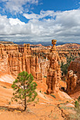 Hoodoos and Thor's Hammer from Navajo Trail Loop, Bryce Canyon National Park, Garfield County, Utah, USA