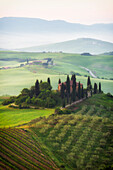 Val d'orcia , Tuscany, Italy