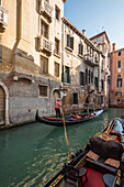 Venice , Veneto, Italy