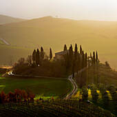 Podere Belvedere, province of Siena, Tuscany, Italy