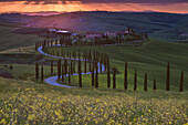 Europe, Italy, Crete Senesi at Sunset, province of Siena, Tuscany