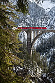The red train on the Wiesener Viadukt surrounded by woods, Engadine, Canton of Graubuenden, Switzerland, Europe