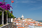 Flowers on a terrace frame terracotta roofs and the ancient dome at Miradouro Alfama Viewpoint of Lisbon Portugal Europe