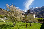 Cherry trees blooming in the orchard of the Vertemate Franchi Palace, in Prosto di Piuro, Valchiavenna, Lombardy Italy Europe