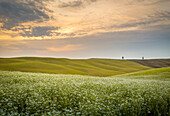 San Quirico d'Orcia, Val d'Orcia, Tuscany, Italy