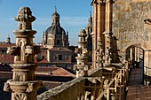 Cathedral, Salamanca, Spain