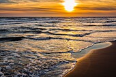 Cabopino beach at sunset, Marbella. Malaga province Costa del Sol. Andalusia Southern Spain, Europe.