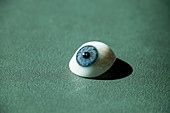 Human Glass-Eye on a blue green underground.